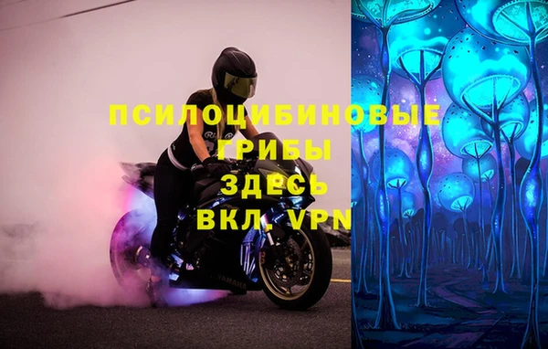 спайс Пересвет