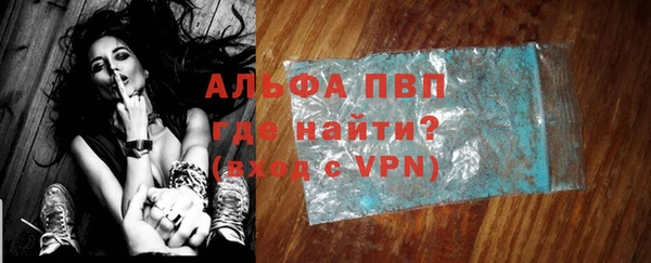 спайс Пересвет