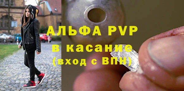 спайс Пересвет