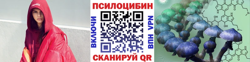 Купить где  Ардон  Псилоцибиновые грибы Psilocybine cubensis 